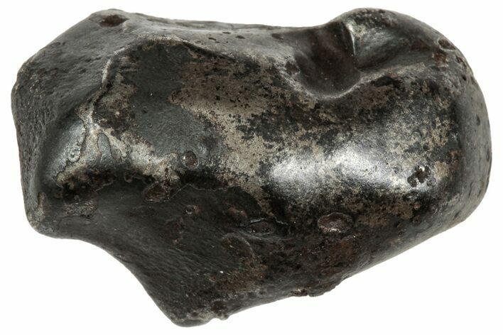 Fusion Crusted Sikhote-Alin Iron Meteorite ( g) - Russia #333091